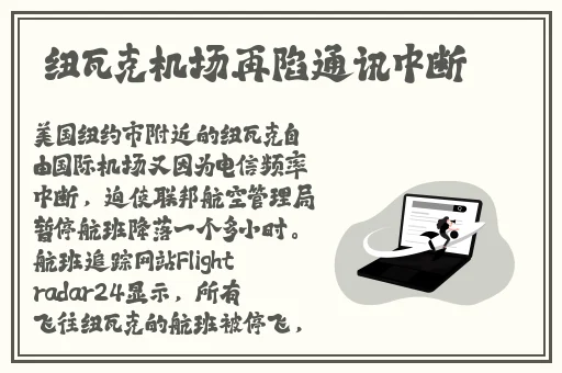 suntek中老年人女妈妈秋装